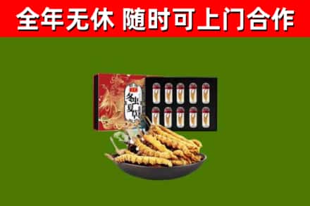 汪清县回收冬虫夏草价格